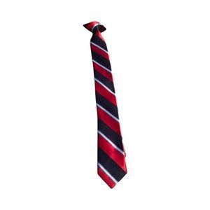 Boys Clip On Tie